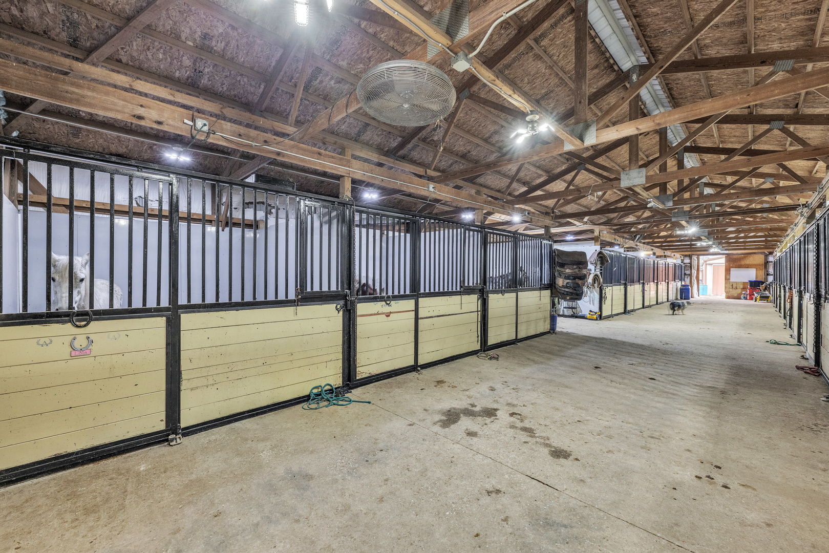 13745 West Bruns Road Manhattan, IL 60442 - Photo 8 of 55 a view of a garage