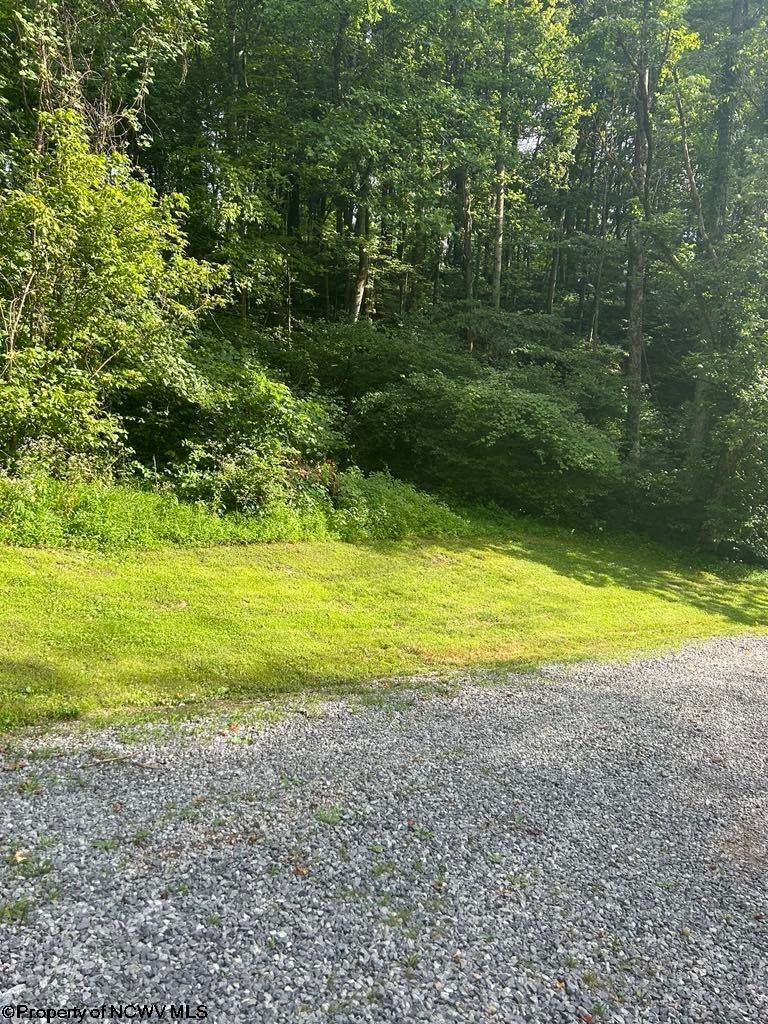8694 Clarksburg Road Volga, WV 26238 - Photo 7 of 20 Gallery Image 7