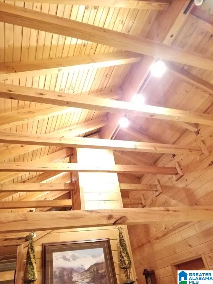 40 Pike Road Remlap, AL 35133 - Photo 15 of 21
