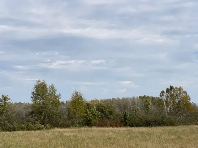 $59,000 | Xxxx Silver Creek Road, Kettle River, MN 55757