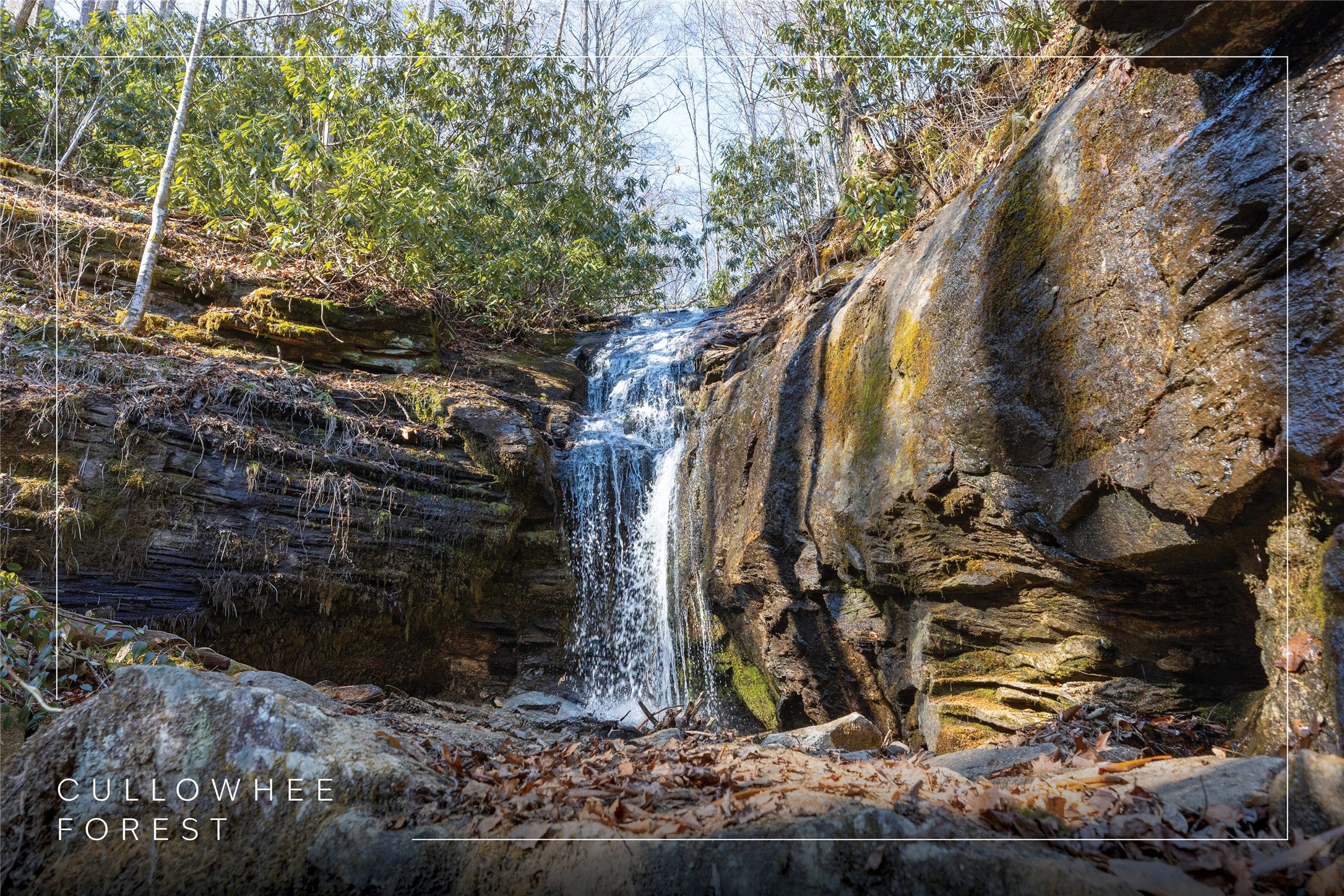 53 Cullowhee Forest Road Cullowhee, NC 28723 - Photo 1 of 41 On-property waterfall