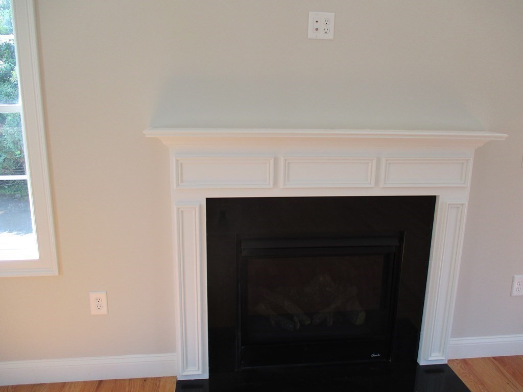 247 High Street Billerica, MA 01862 - Photo 16 of 26 a close view of fireplace