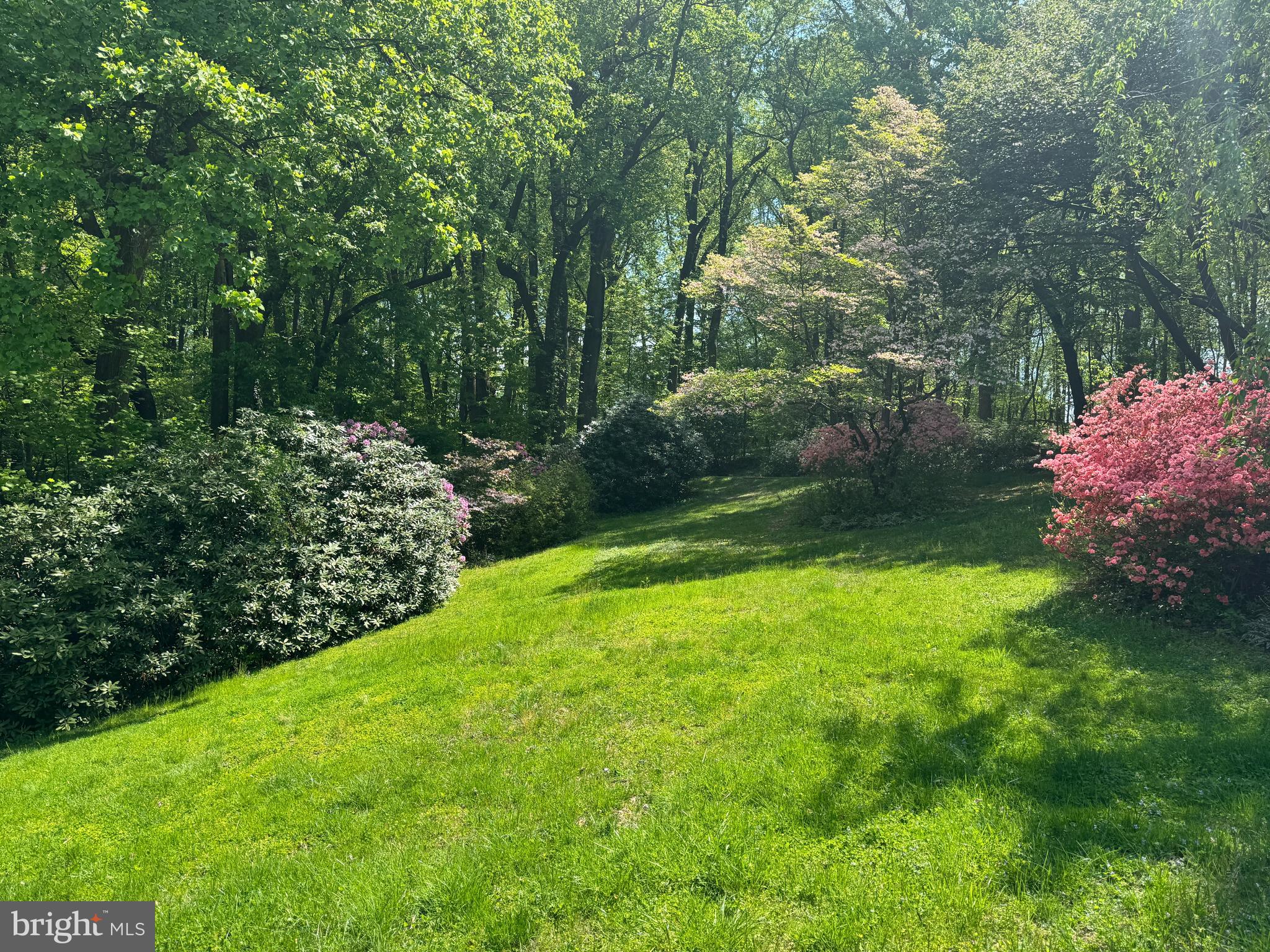 6008 Fork Woods Road Baldwin, MD 21013 - Photo 11 of 12 a backyard of a house with lots of green space