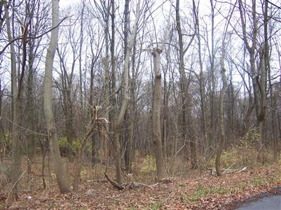 3973 Coleman Road Latonia, KY 41015 - Photo 1 of 1 Gallery Image 1