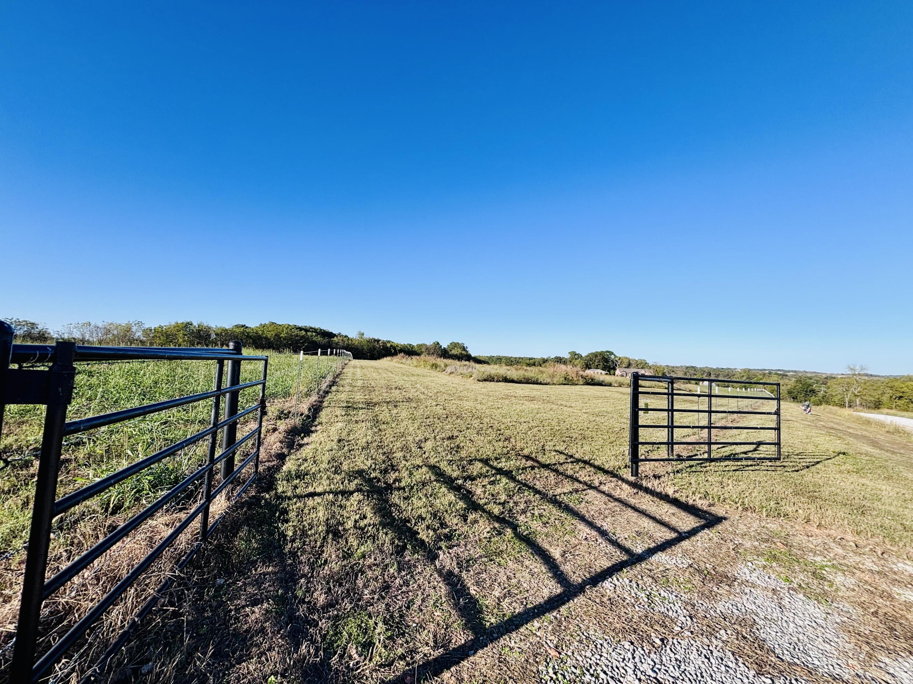 8.5-acres Honeysuckle Road Billings, MO 65610 - Photo 5 of 12 IMG_8725