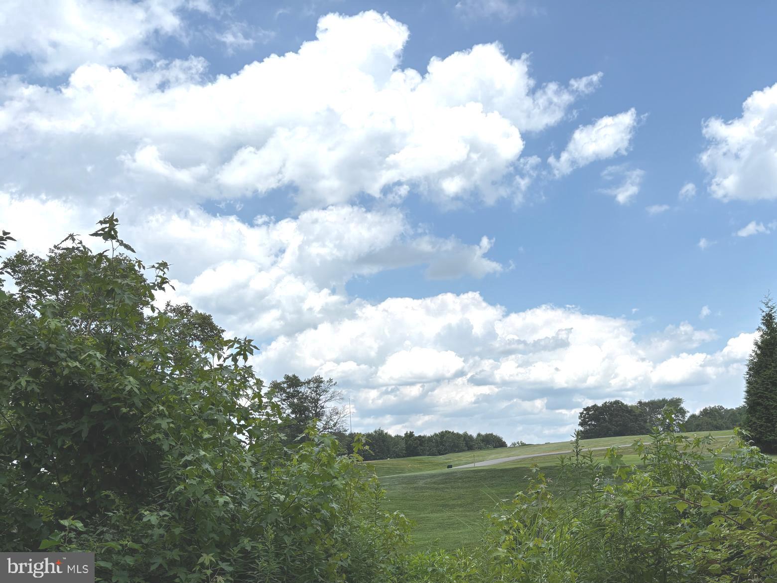 2044 Mill Road Norristown, PA 19403 - Photo 34 of 55 a view of a bunch of trees