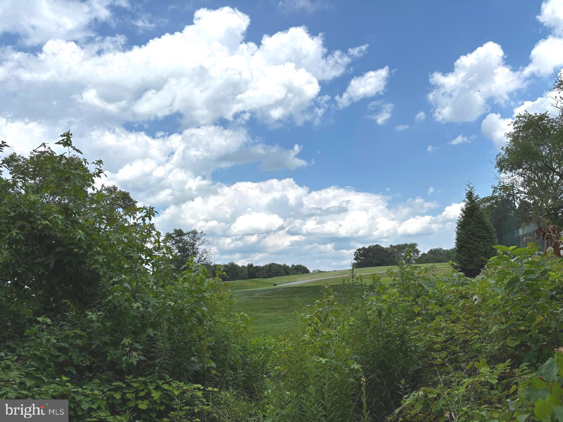 2044 Mill Road Norristown, PA 19403 - Photo 35 of 55 a view of a lot of trees