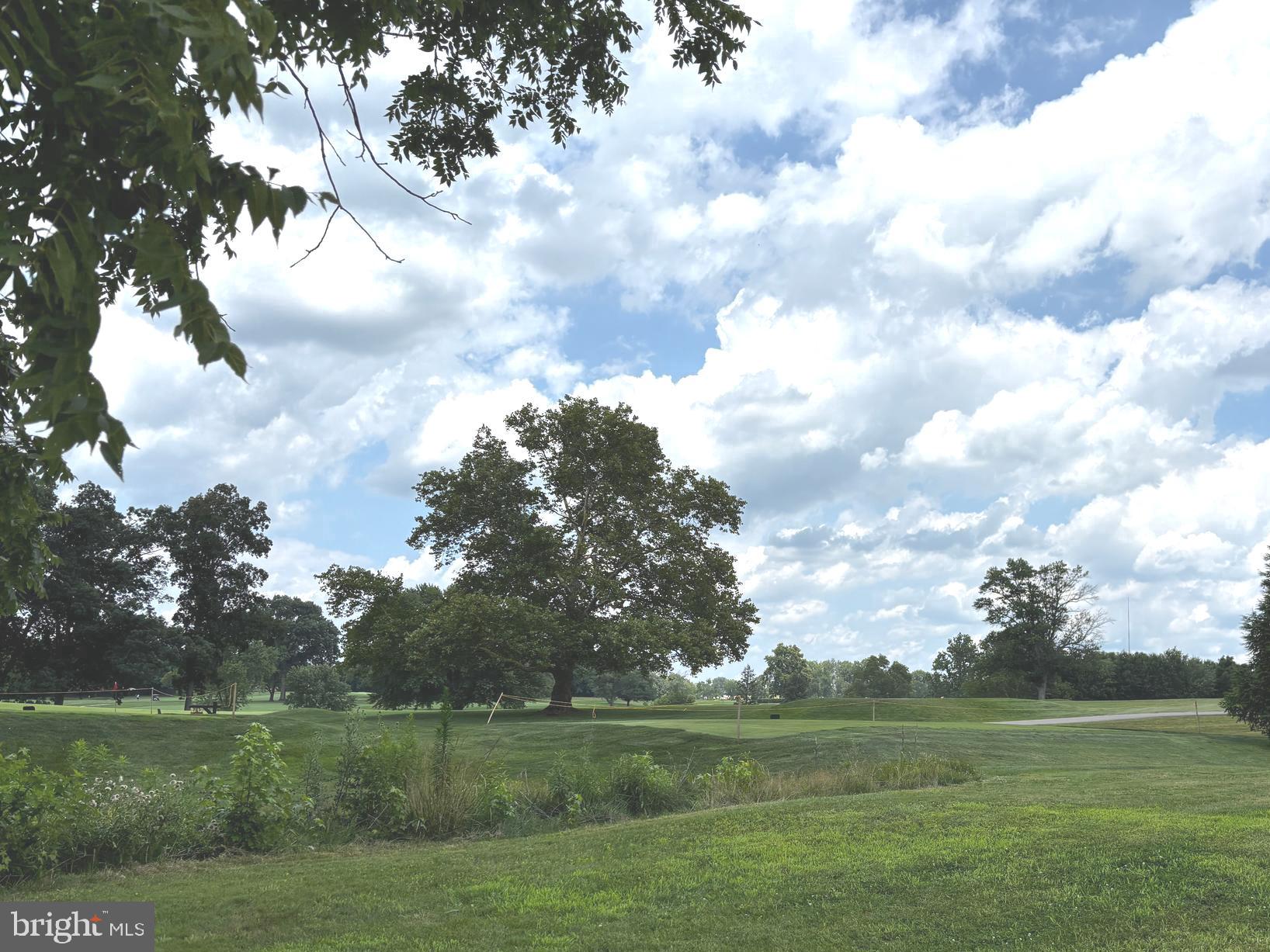 2044 Mill Road Norristown, PA 19403 - Photo 36 of 55 a view of a field with a tree in it