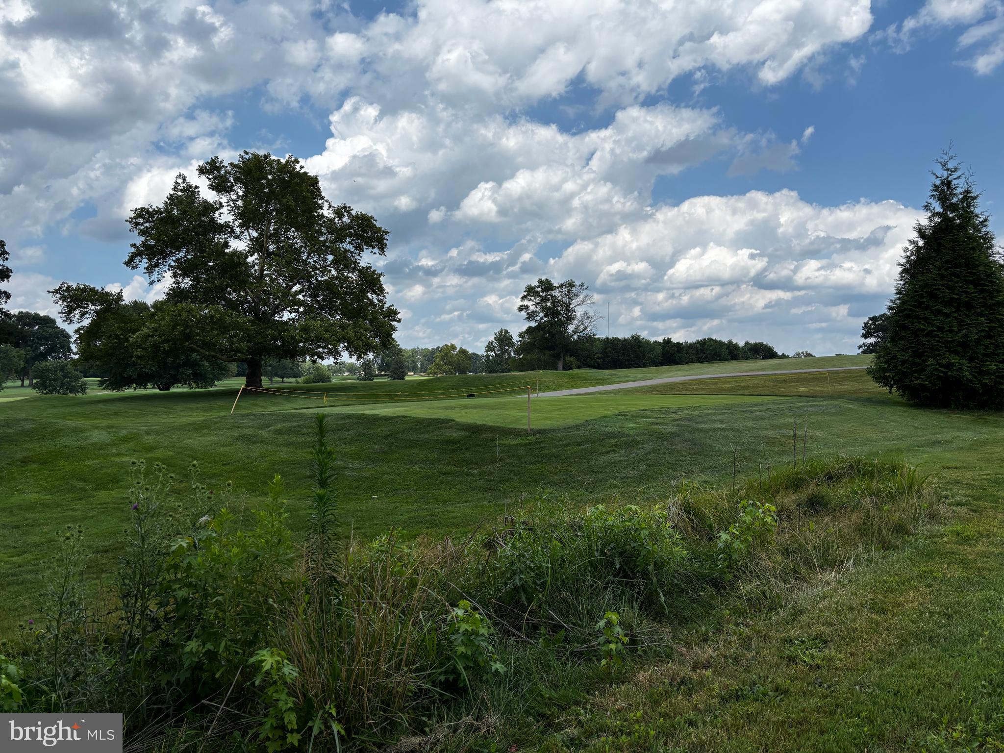 2044 Mill Road Norristown, PA 19403 - Photo 40 of 55 a view of a field with a big yard