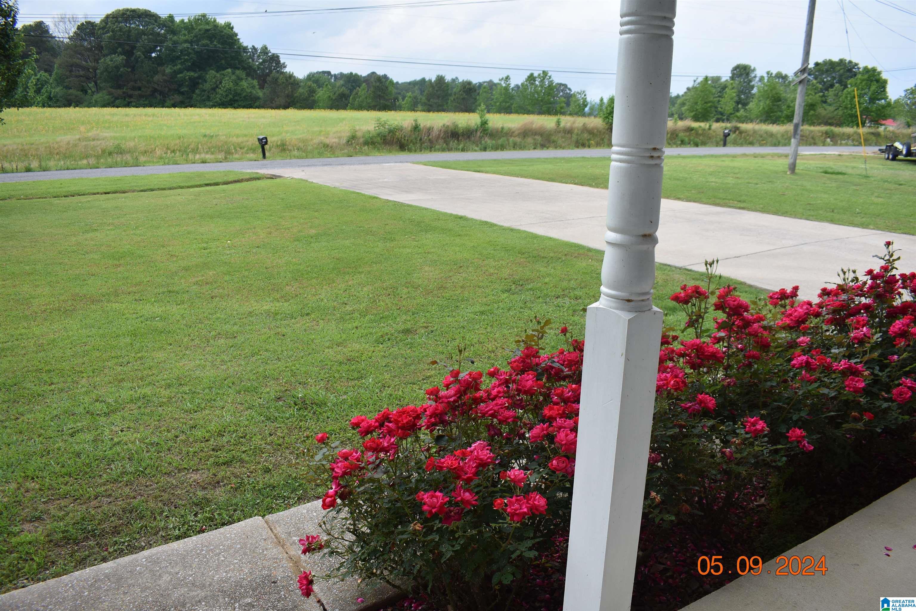 1910 Blooming Grove Road Jasper, AL 35504 - Photo 4 of 37