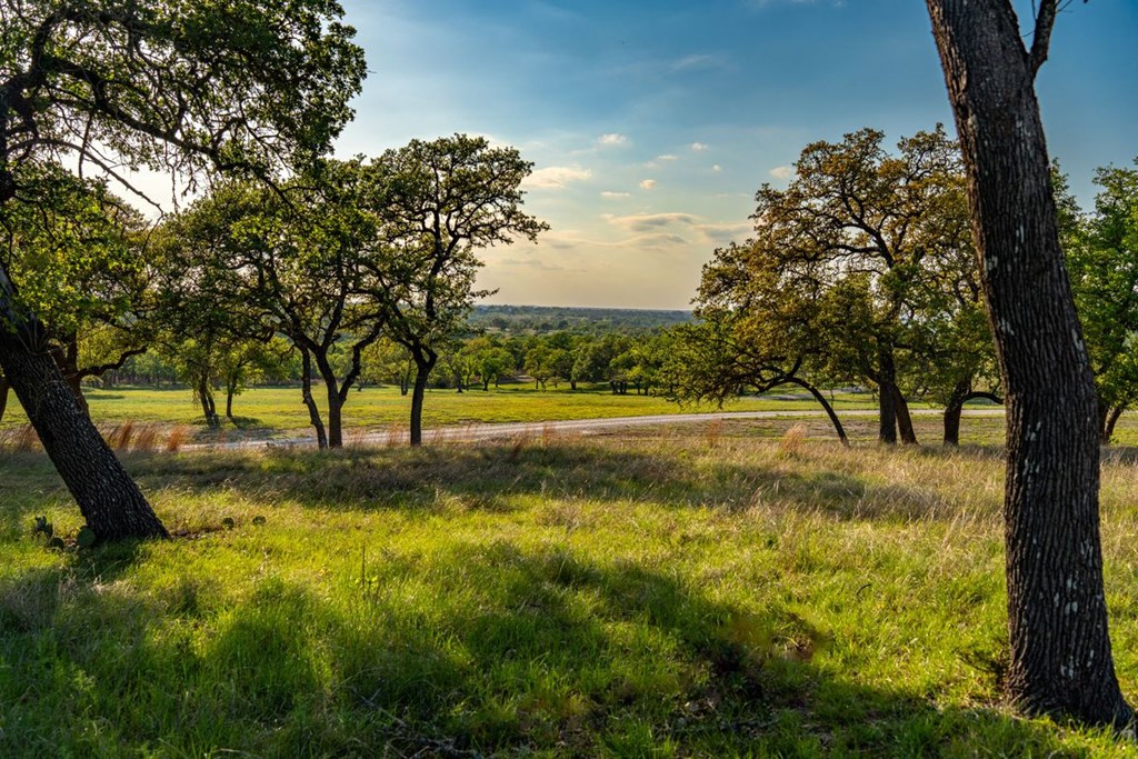 862 Grape Creek Road Fredericksburg, TX 78624 - Photo 4 of 91