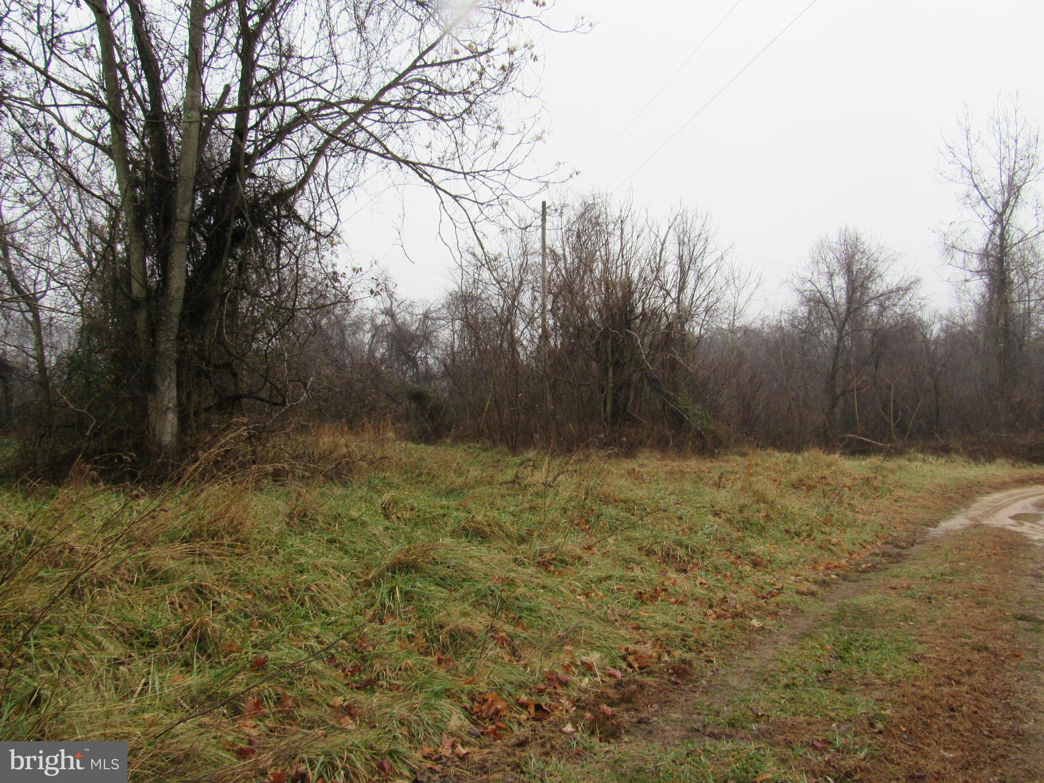3955 Williams Wharf Road Port Republic, MD 20676 - Photo 1 of 7 View