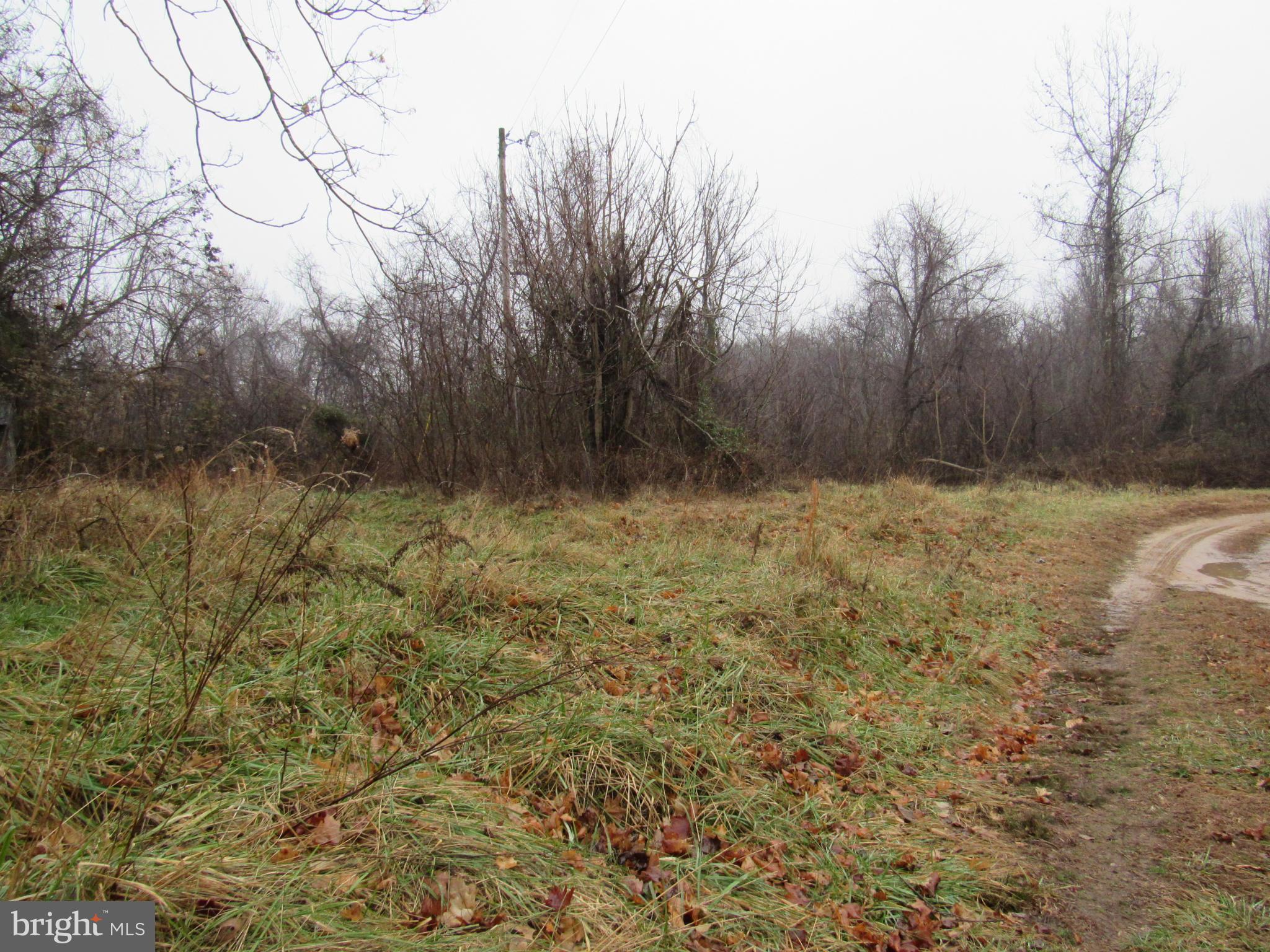 3955 Williams Wharf Road Port Republic, MD 20676 - Photo 2 of 7 View
