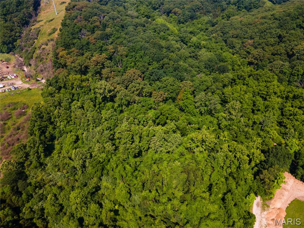 0 Glick Road High Ridge, MO 63049 - Photo 4 of 24