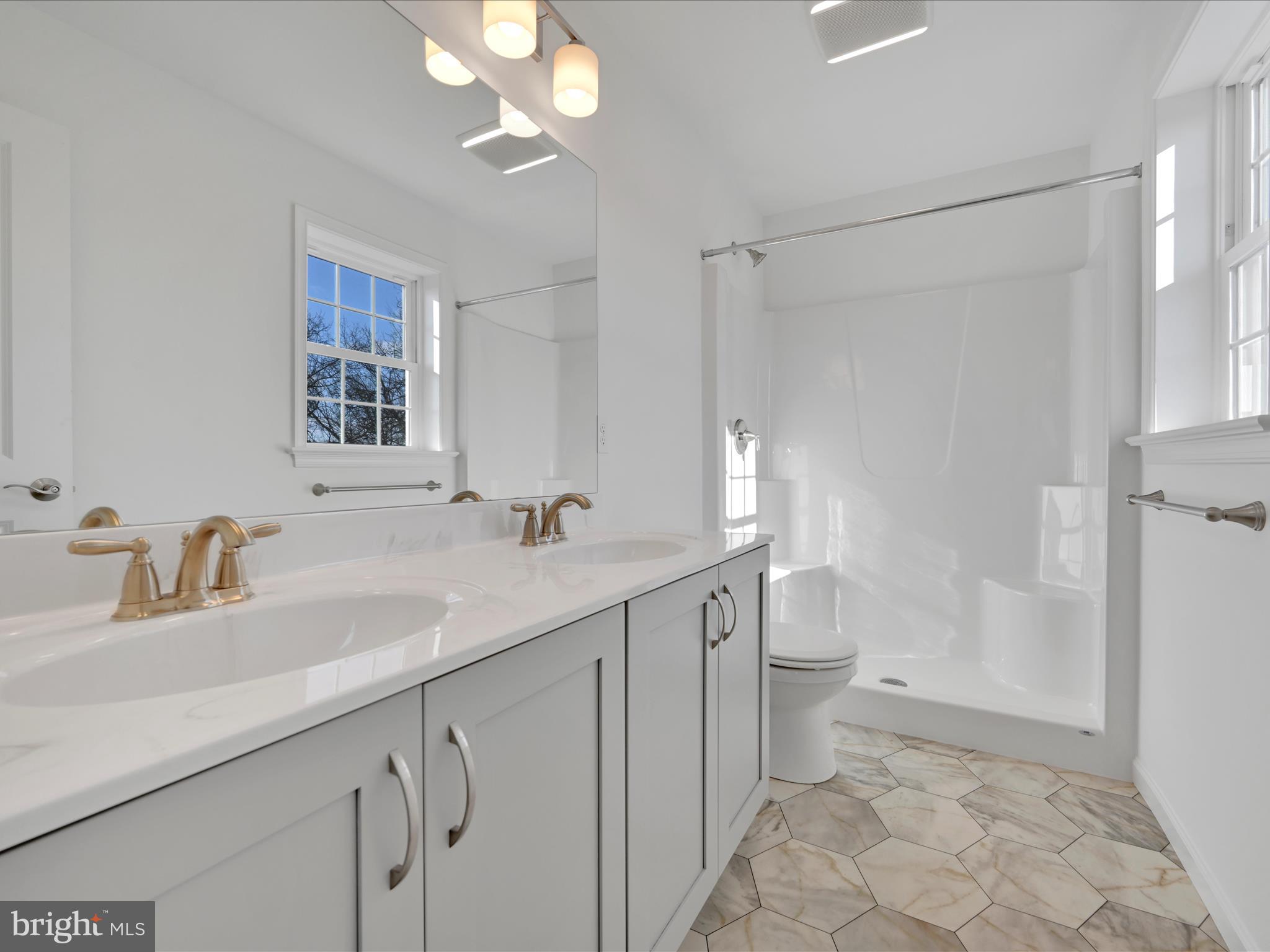 4 Stream Drive Carlisle, PA 17013 - Photo 15 of 39 a bathroom with a double vanity sink mirror and toilet