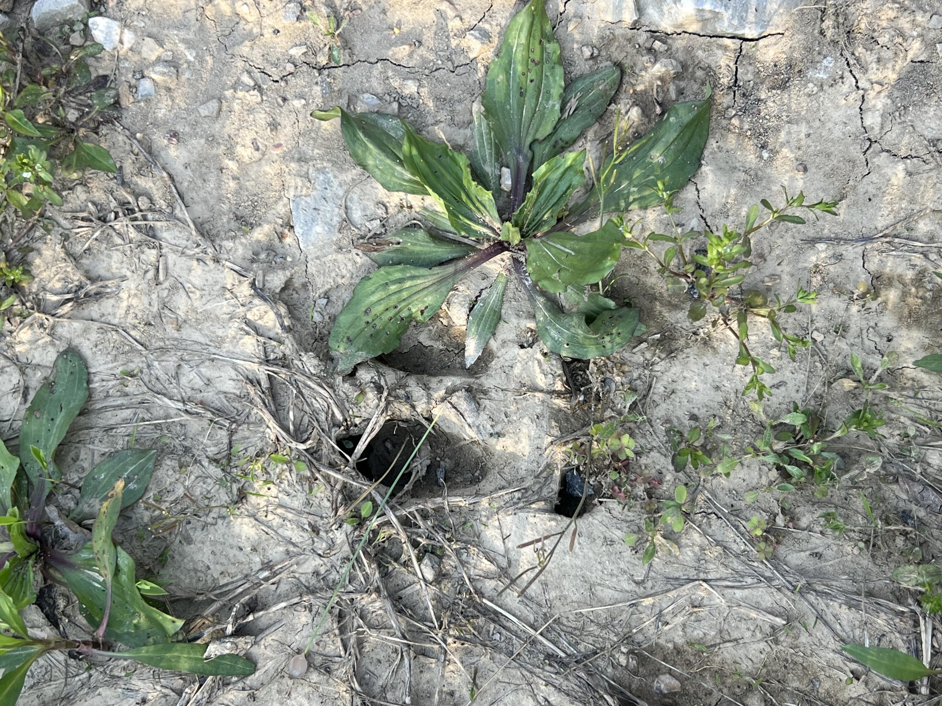 2000 Tbd Stamper Branch Campton, KY 41301 - Photo 21 of 47 Photo Apr 15, 6 16 07 PM