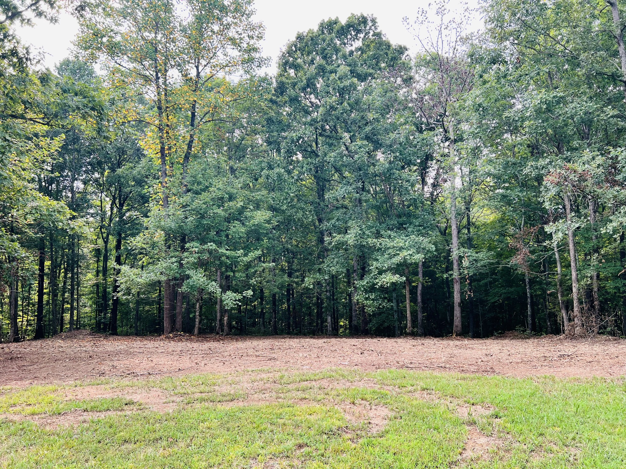 a view of pool and trees in the background
