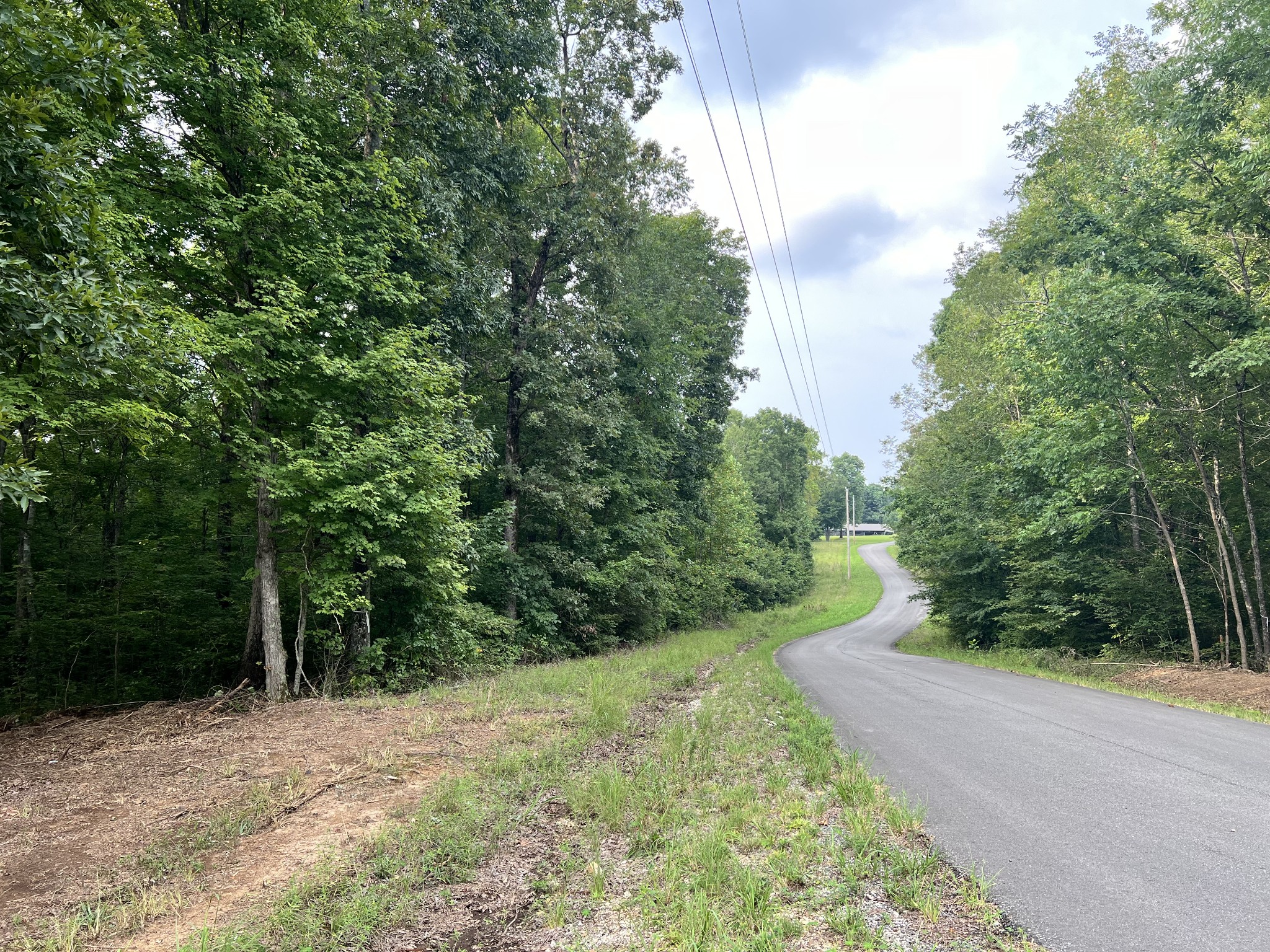 0 Mayne Trace Road Waverly, TN 37185 - Photo 11 of 15 a view of a yard with plants and trees