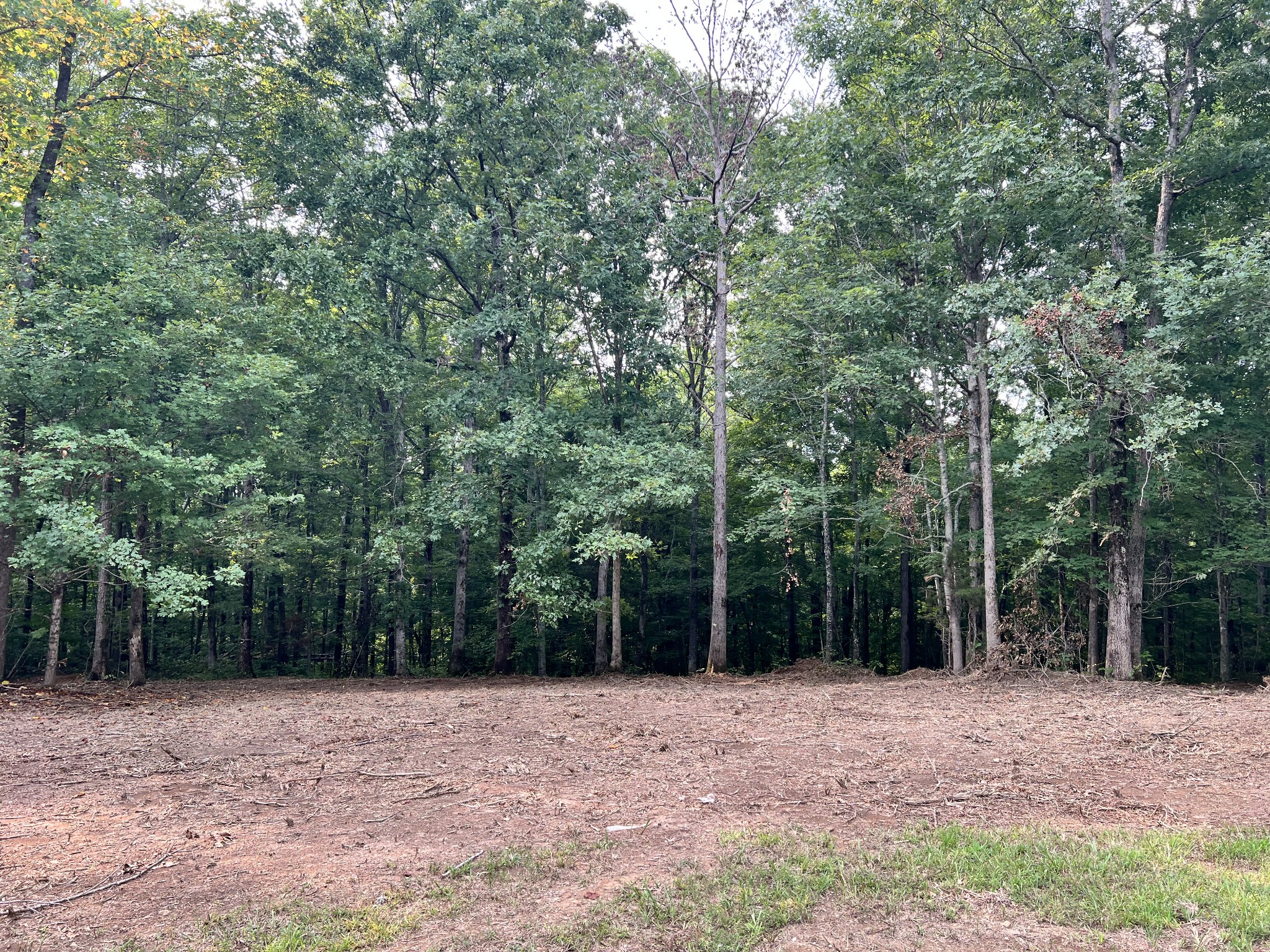 0 Mayne Trace Road Waverly, TN 37185 - Photo 12 of 15 a view of backyard with green space and trees