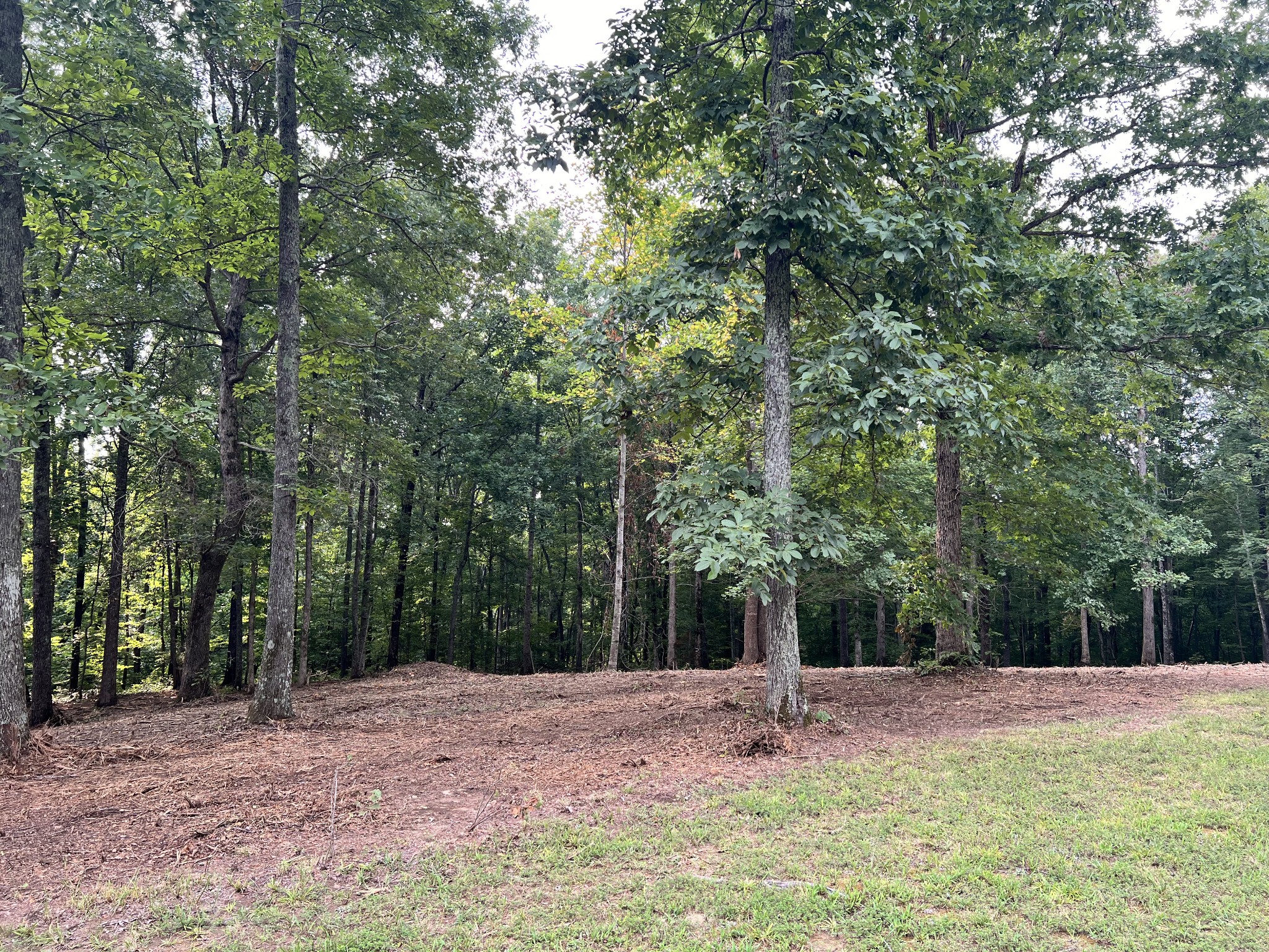 0 Mayne Trace Road Waverly, TN 37185 - Photo 14 of 15 a view of outdoor space with deck and trees