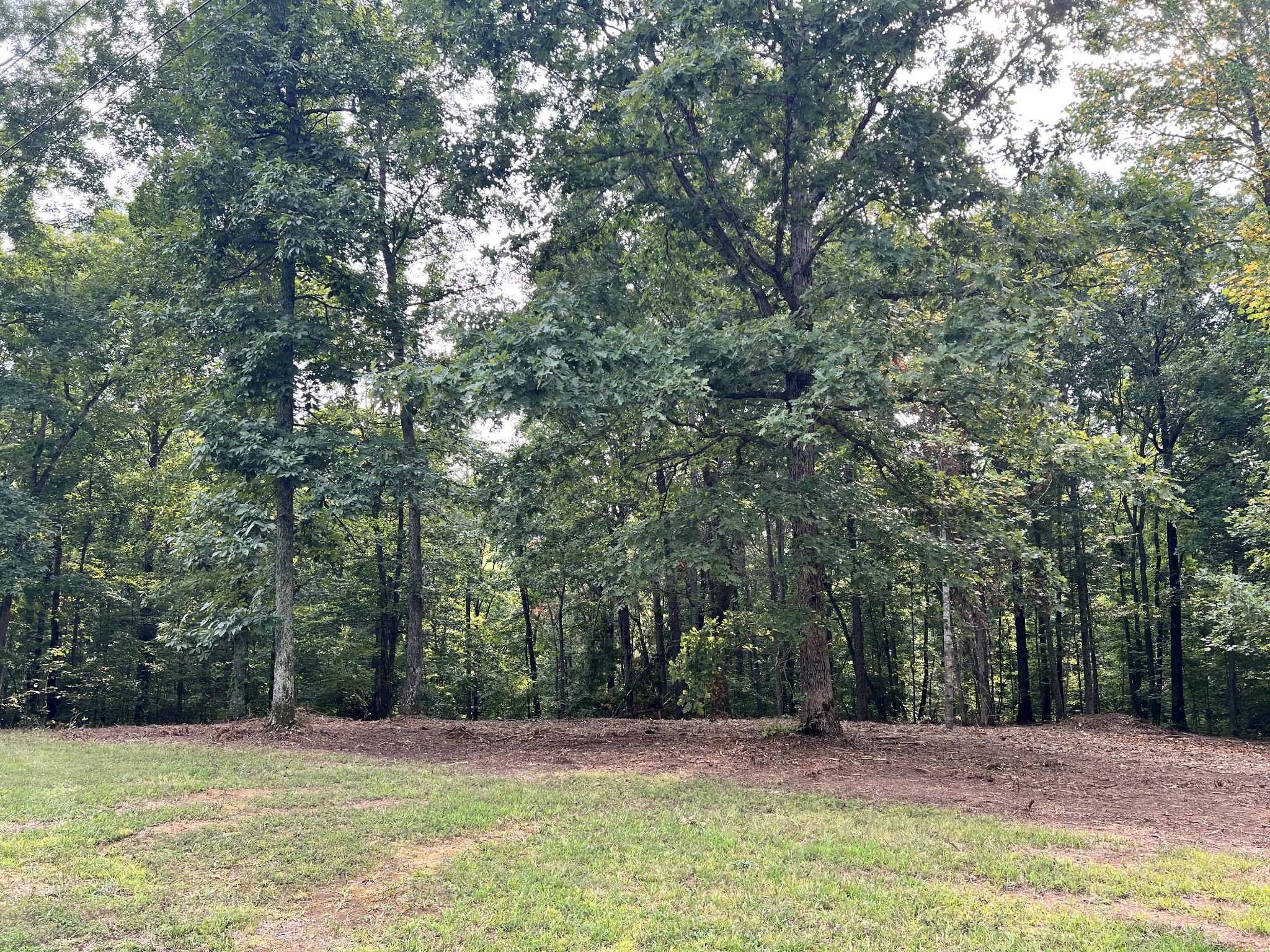 0 Mayne Trace Road Waverly, TN 37185 - Photo 15 of 15 a view of a field with trees in front of it