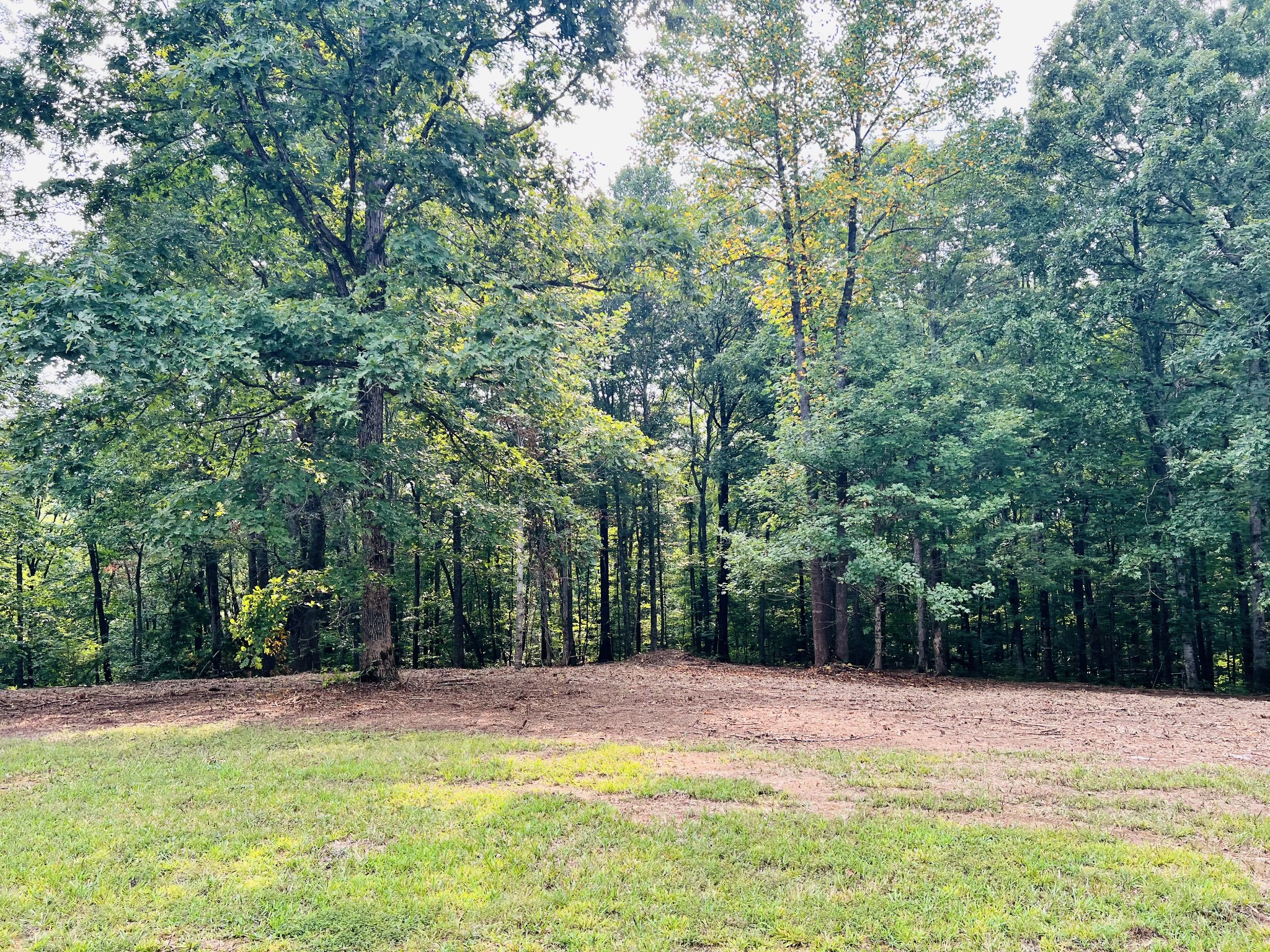0 Mayne Trace Road Waverly, TN 37185 - Photo 3 of 15 a view of a swimming pool and a yard