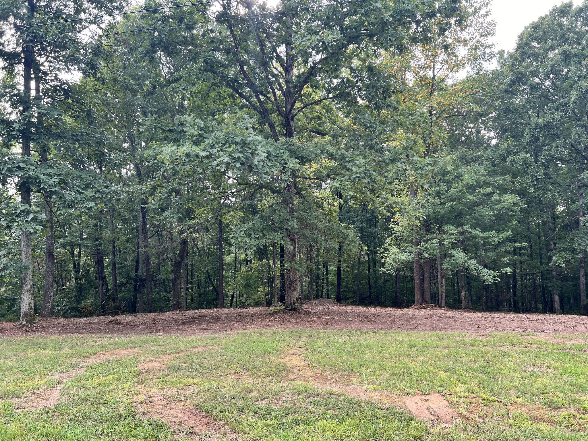 0 Mayne Trace Road Waverly, TN 37185 - Photo 4 of 15 a view of a swimming pool with a trees
