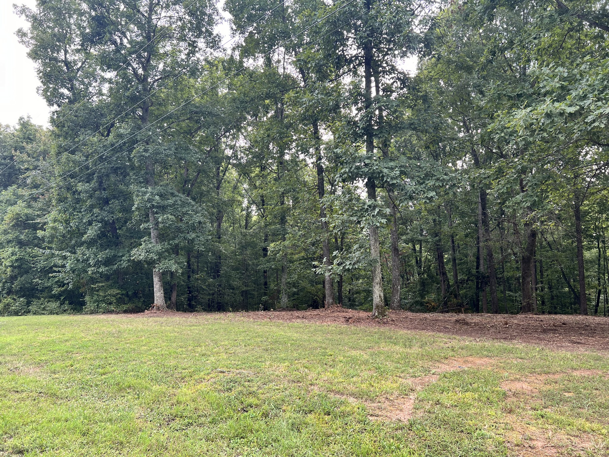 0 Mayne Trace Road Waverly, TN 37185 - Photo 5 of 15 a view of a swimming pool