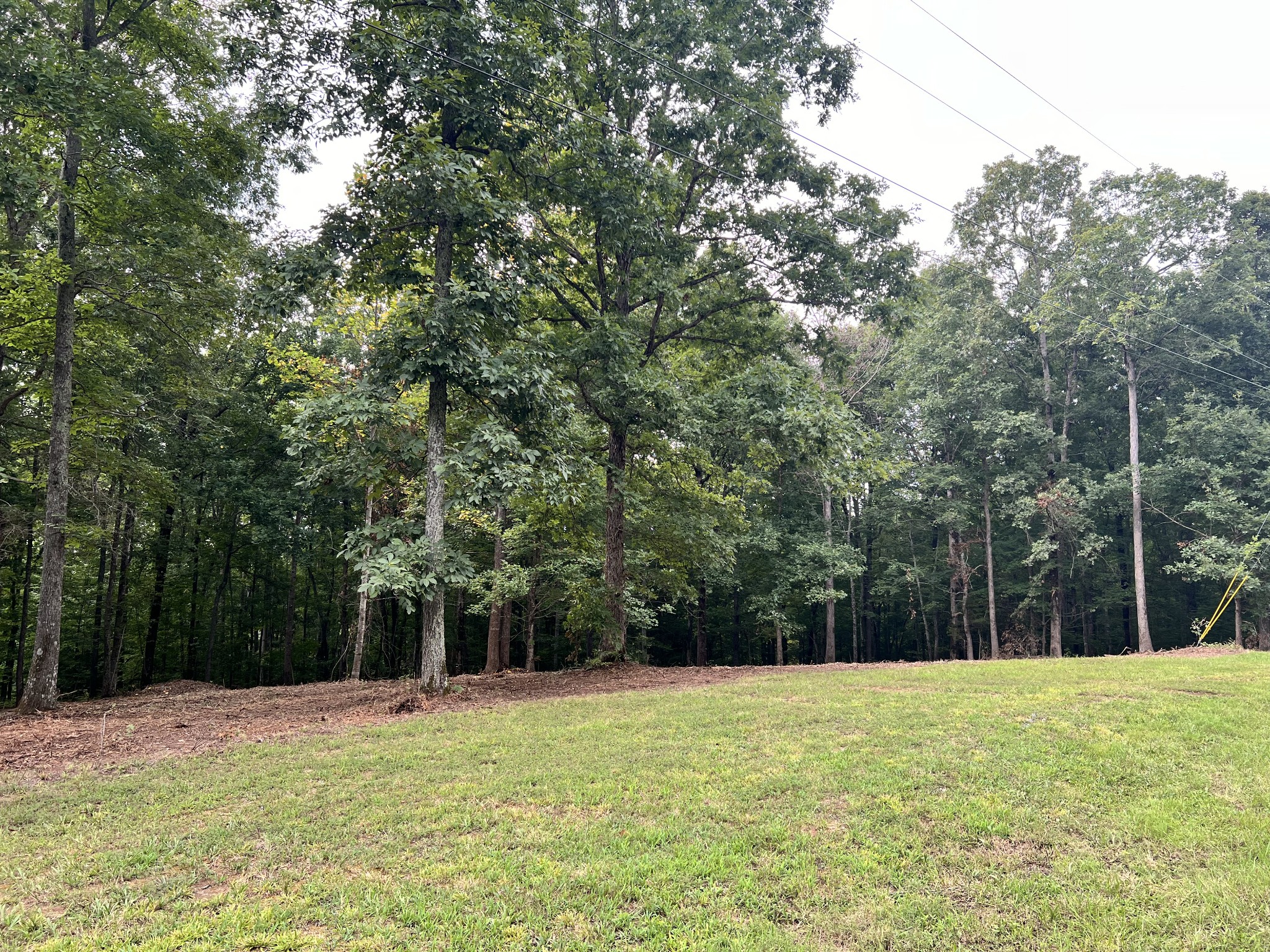 0 Mayne Trace Road Waverly, TN 37185 - Photo 6 of 15 a swimming pool with trees in the background