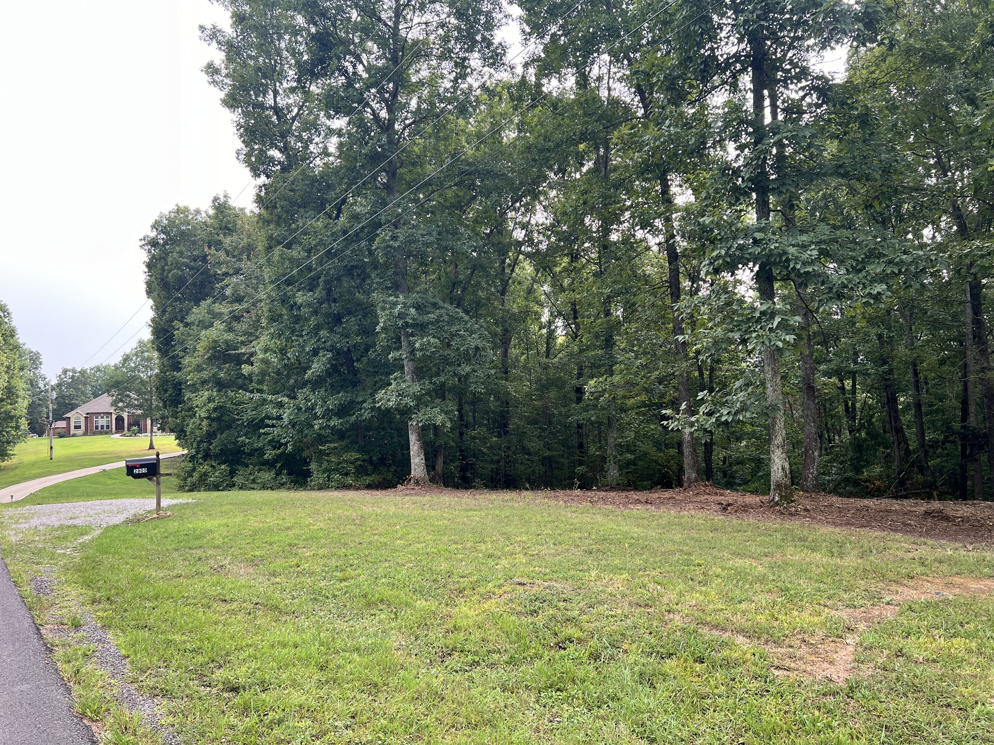 0 Mayne Trace Road Waverly, TN 37185 - Photo 7 of 15 a view of a garden with a tree