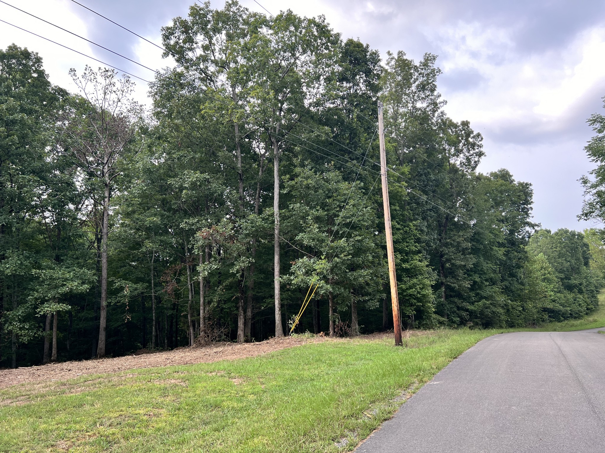 0 Mayne Trace Road Waverly, TN 37185 - Photo 8 of 15 a backyard of a house with lots of trees