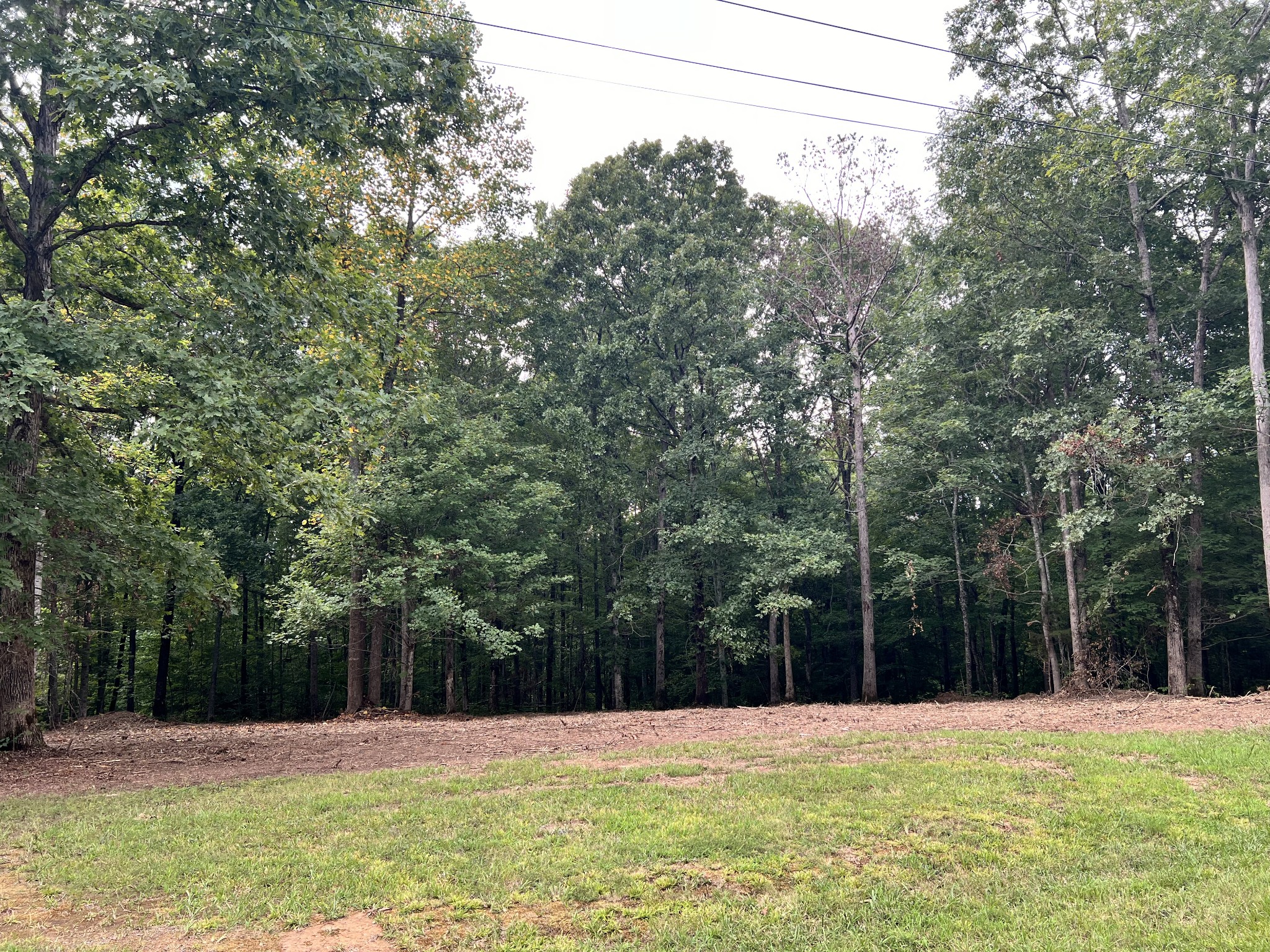 0 Mayne Trace Road Waverly, TN 37185 - Photo 9 of 15 a view of basketball court