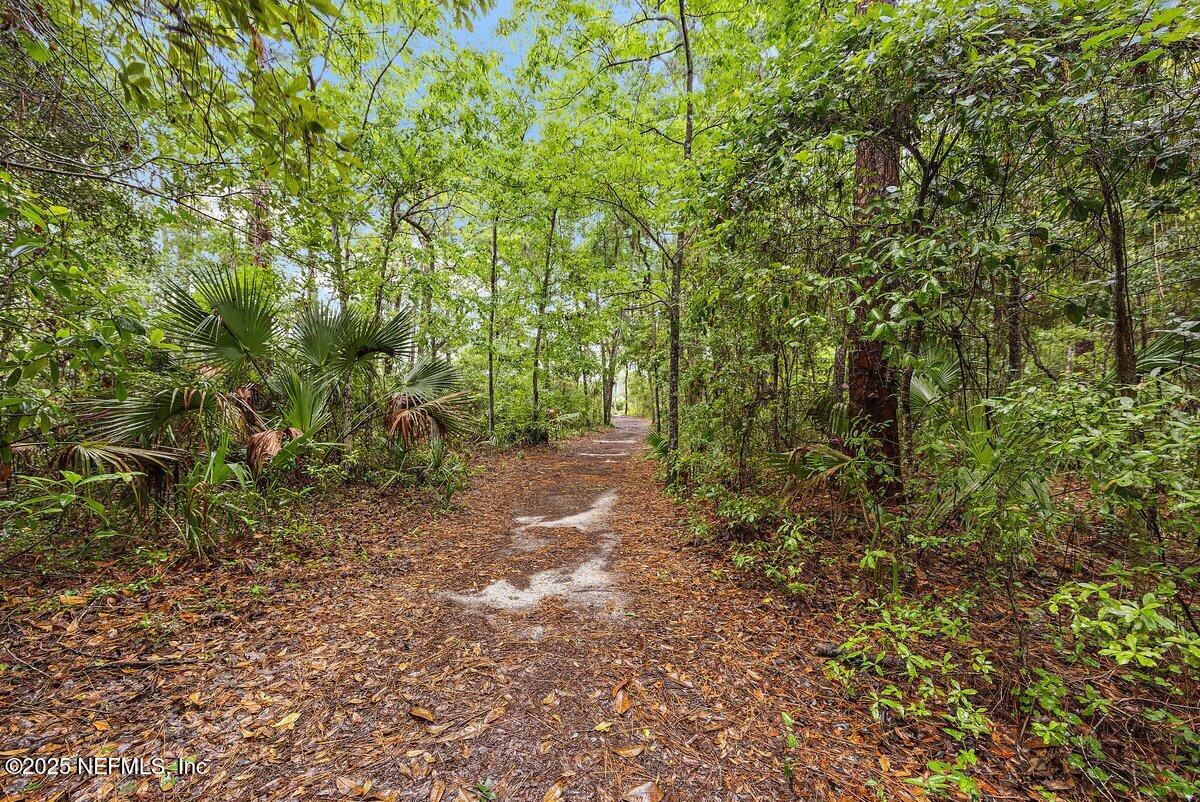 452 Dutton Island Road West Atlantic Beach, FL 32233 - Photo 25 of 28 a view of a yard with plants and trees