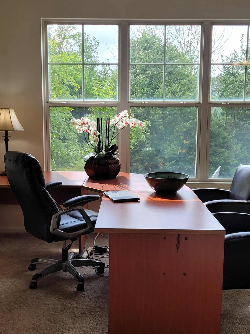 490 Grosvenor Lane Aurora, IL 60504 - Photo 9 of 16 a view of a workspace with a window