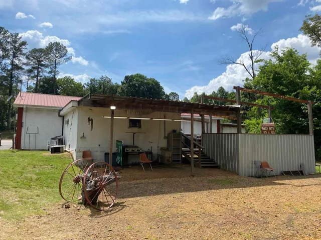 a view of a trees with a yard