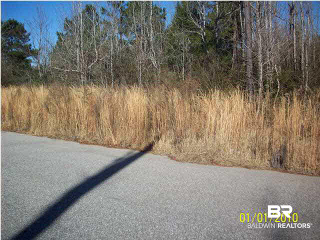 8 Edgewood Court Atmore, AL 36502 - Photo 3 of 7