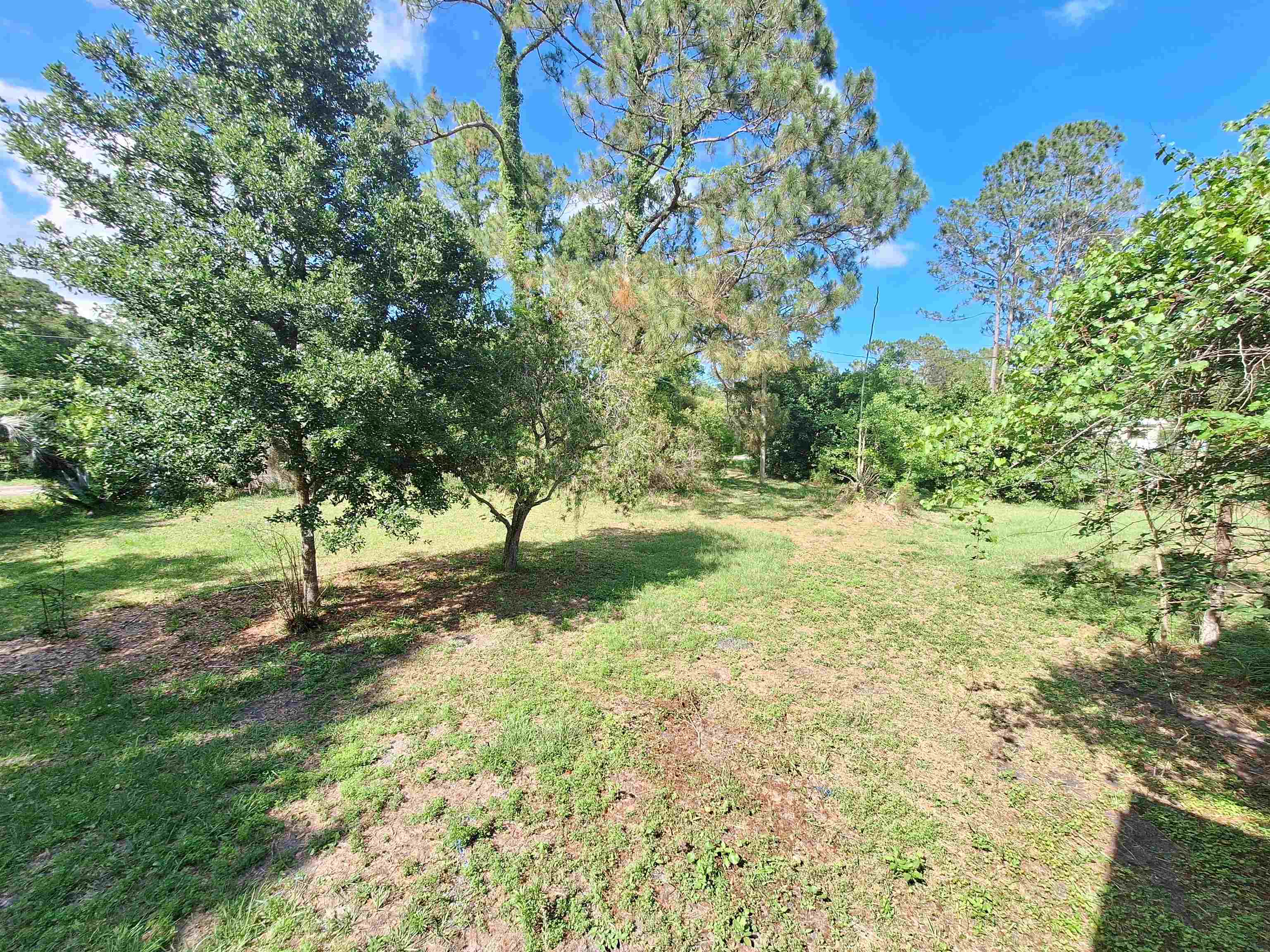 5610 Datil Pepper Road St. Augustine, FL 32086 - Photo 37 of 48