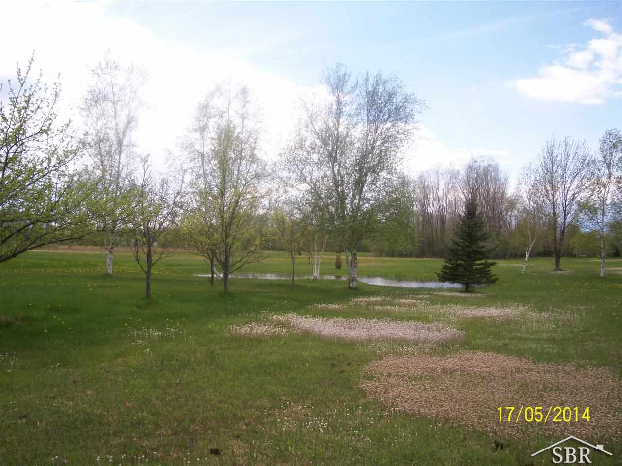 9820 Elms Road Birch Run, MI 48415 - Photo 5 of 6 31193727-4.JPG