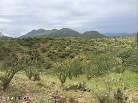 Tbd Tbd Camino Carina Rio Rico, AZ 85648 - Photo 10 of 10