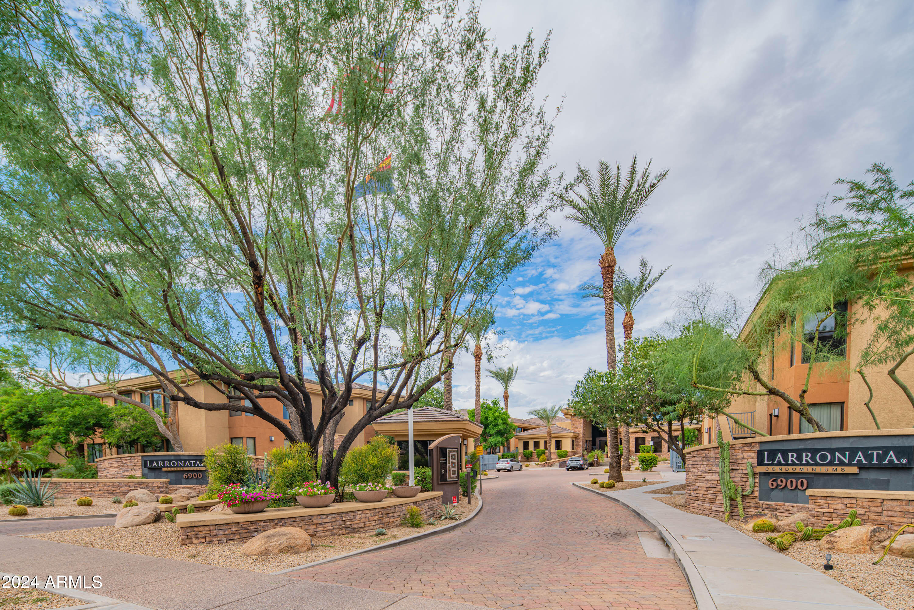 a view of road with palm trees