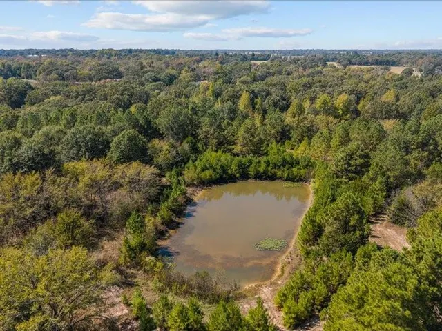 $1,295,000 | 1847 Highway 19, Emory, TX 75440