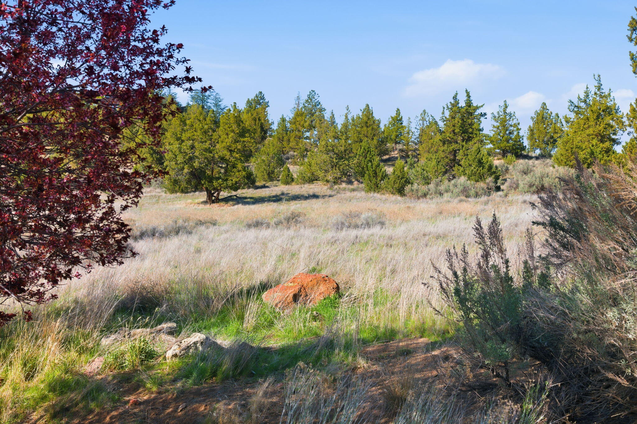 3082 Northeast Yellowpine Road Prineville, OR 97754 - Photo 38 of 50 33-web-or-mls-DSC_0413