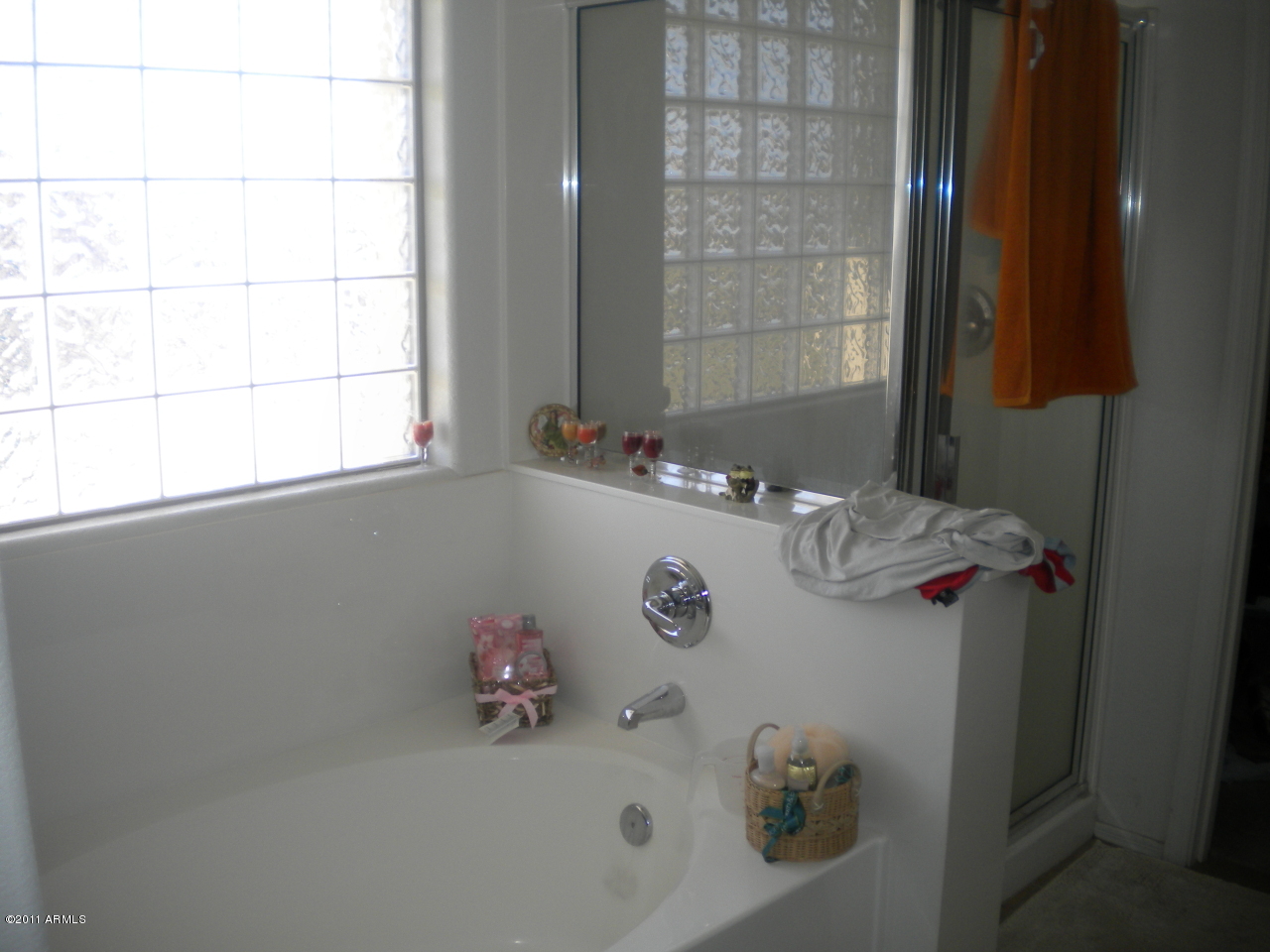 3875 East Kent Avenue Gilbert, AZ 85296 - Photo 6 of 7 Master bath