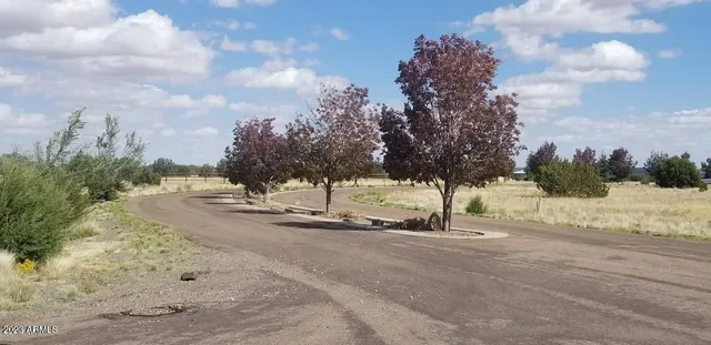 a view of outdoor space and tree