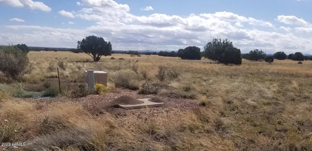 $90,000 | 7687-7693 Arroyo Plata Drive, Unit 42, Show Low, AZ 85901