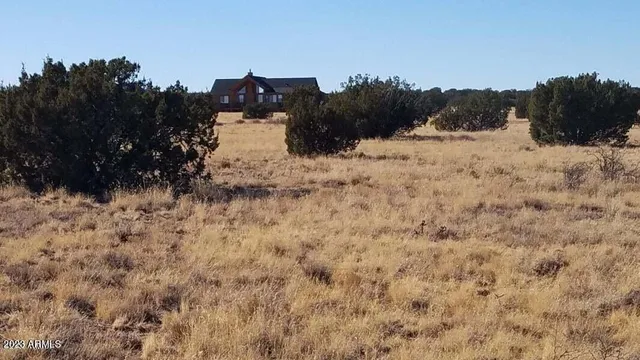 a view of a dry yard covered with snow in the background