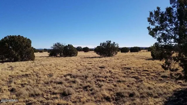 a view of snow on the road