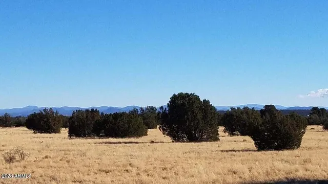 a view of outdoor space with mountain view