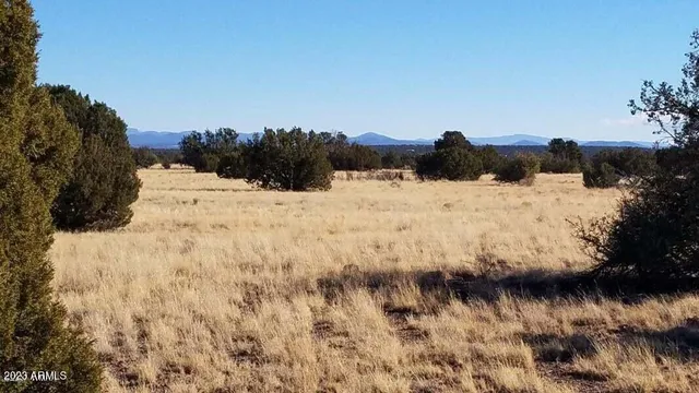 a view of a snow on the beach