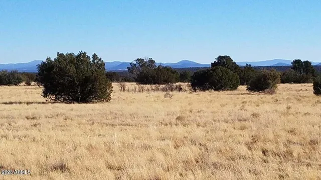 a view of a snow on the beach